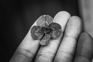 xì dách di động F8bet